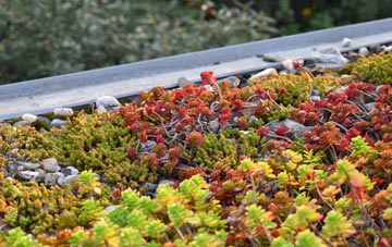 the cost of Morganstown green roof installation