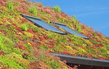 Morganstown living roof systems