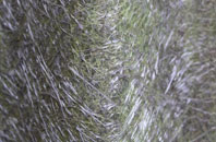 Morganstown fibreglass roof work